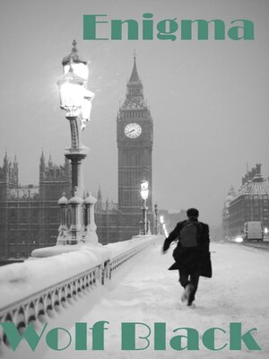 cover image of Enigma
